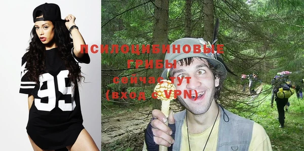 героин Алексин